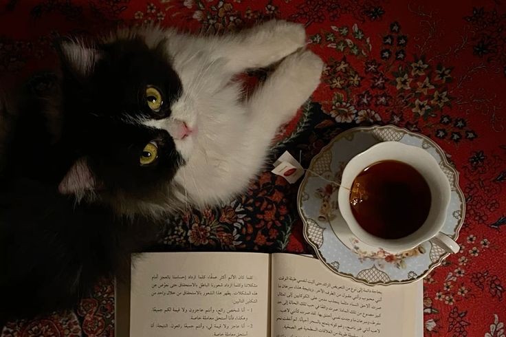 Black and white cat beside a porcelain cup of herbal tea and an open book on a red Persian rug
